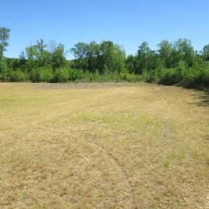Photo #16 of SOLD property in Off Corinth Chapel Road , Suffolk , VA 47.0 acres