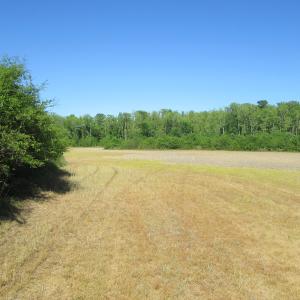 Photo #18 of SOLD property in Off Corinth Chapel Road , Suffolk , VA 47.0 acres