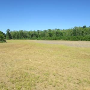 Photo #19 of SOLD property in Off Corinth Chapel Road , Suffolk , VA 47.0 acres