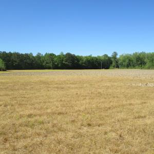 Photo #20 of SOLD property in Off Corinth Chapel Road , Suffolk , VA 47.0 acres