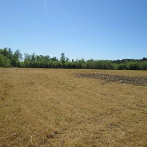 Photo #21 of SOLD property in Off Corinth Chapel Road , Suffolk , VA 47.0 acres