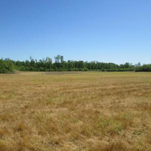 Photo #22 of SOLD property in Off Corinth Chapel Road , Suffolk , VA 47.0 acres