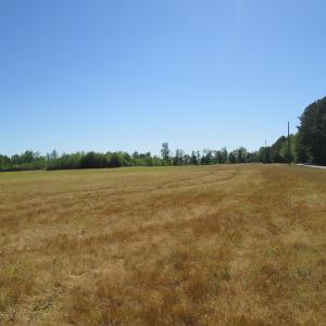 Photo #23 of SOLD property in Off Corinth Chapel Road , Suffolk , VA 47.0 acres