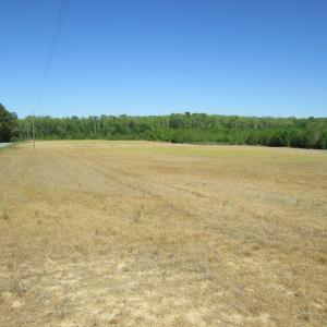 Photo #24 of SOLD property in Off Corinth Chapel Road , Suffolk , VA 47.0 acres