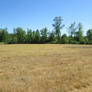 Photo #25 of SOLD property in Off Corinth Chapel Road , Suffolk , VA 47.0 acres