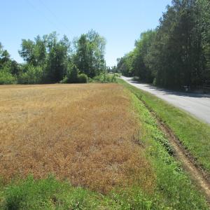 Photo #27 of SOLD property in Off Corinth Chapel Road , Suffolk , VA 47.0 acres