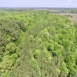 Photo #11 of SOLD property in Off Christanna Hwy, Lawrenceville, VA 13.2 acres