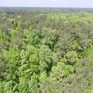 Photo #13 of SOLD property in Off Christanna Hwy, Lawrenceville, VA 13.2 acres
