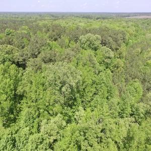 Photo #14 of SOLD property in Off Christanna Hwy, Lawrenceville, VA 13.2 acres
