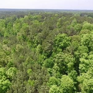 Photo #17 of SOLD property in Off Christanna Hwy, Lawrenceville, VA 13.2 acres