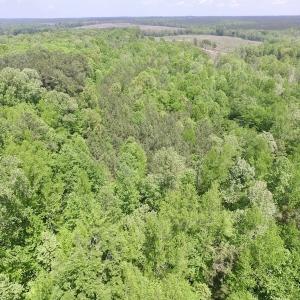 Photo #19 of SOLD property in Off Christanna Hwy, Lawrenceville, VA 13.2 acres