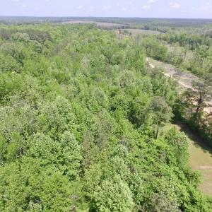 Photo #20 of SOLD property in Off Christanna Hwy, Lawrenceville, VA 13.2 acres