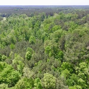 Photo #3 of SOLD property in Off Christanna Hwy, Lawrenceville, VA 13.2 acres