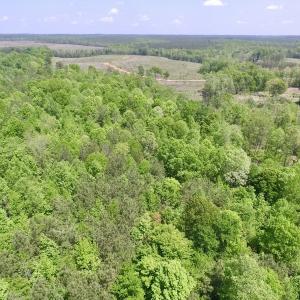 Photo #21 of SOLD property in Off Christanna Hwy, Lawrenceville, VA 13.2 acres