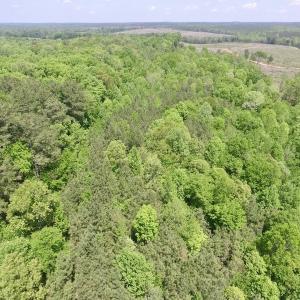 Photo #22 of SOLD property in Off Christanna Hwy, Lawrenceville, VA 13.2 acres