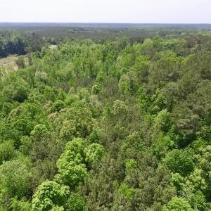 Photo #23 of SOLD property in Off Christanna Hwy, Lawrenceville, VA 13.2 acres