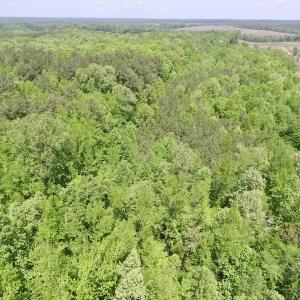 Photo #24 of SOLD property in Off Christanna Hwy, Lawrenceville, VA 13.2 acres