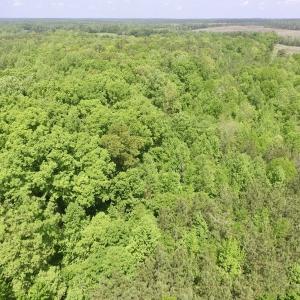 Photo #25 of SOLD property in Off Christanna Hwy, Lawrenceville, VA 13.2 acres
