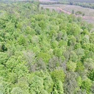 Photo #26 of SOLD property in Off Christanna Hwy, Lawrenceville, VA 13.2 acres