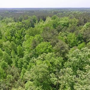 Photo #27 of SOLD property in Off Christanna Hwy, Lawrenceville, VA 13.2 acres
