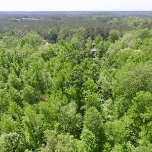 Photo #28 of SOLD property in Off Christanna Hwy, Lawrenceville, VA 13.2 acres