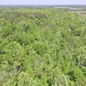Photo #4 of SOLD property in Off Christanna Hwy, Lawrenceville, VA 13.2 acres