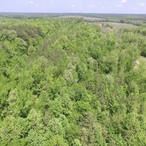 Photo #6 of SOLD property in Off Christanna Hwy, Lawrenceville, VA 13.2 acres