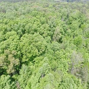 Photo #7 of SOLD property in Off Christanna Hwy, Lawrenceville, VA 13.2 acres