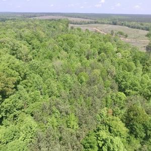 Photo #8 of SOLD property in Off Christanna Hwy, Lawrenceville, VA 13.2 acres