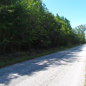 Photo #3 of SOLD property in Lot 1 Warrique Rd, Ivor, VA 3.0 acres