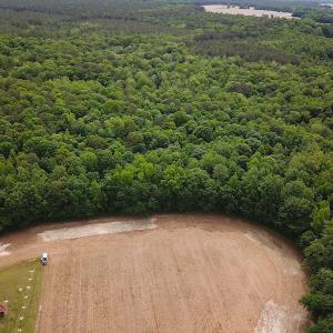 Photo #4 of SOLD property in Off Sunbeam Road, Franklin, VA 52.0 acres