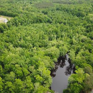 Photo #6 of SOLD property in Off Sunbeam Road, Franklin, VA 52.0 acres