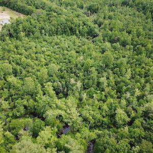 Photo #7 of SOLD property in Off Sunbeam Road, Franklin, VA 52.0 acres