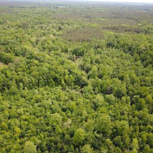 Photo #9 of SOLD property in Off Sunbeam Road, Franklin, VA 52.0 acres