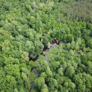 Photo #8 of SOLD property in Off Sunbeam Road, Franklin, VA 52.0 acres