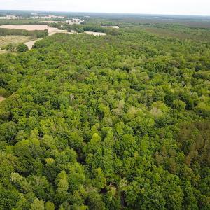 Photo #10 of SOLD property in Off Sunbeam Road, Franklin, VA 52.0 acres