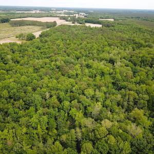 Photo #11 of SOLD property in Off Sunbeam Road, Franklin, VA 52.0 acres