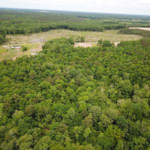 Photo #12 of SOLD property in Off Sunbeam Road, Franklin, VA 52.0 acres