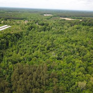 Photo #13 of SOLD property in Off Sunbeam Road, Franklin, VA 52.0 acres