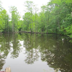 Photo #20 of SOLD property in Off Sunbeam Road, Franklin, VA 52.0 acres