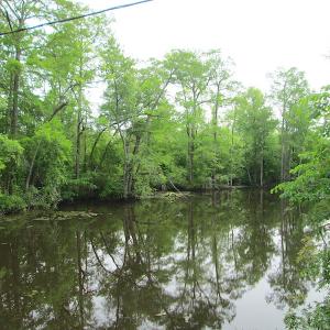 Photo #21 of SOLD property in Off Sunbeam Road, Franklin, VA 52.0 acres