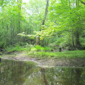 Photo #28 of SOLD property in Off Sunbeam Road, Franklin, VA 52.0 acres