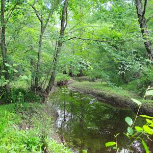 Photo #32 of SOLD property in Off Sunbeam Road, Franklin, VA 52.0 acres
