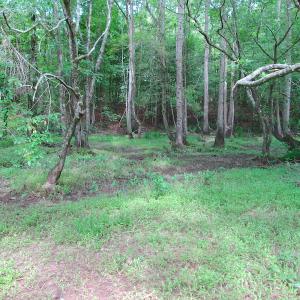 Photo #33 of SOLD property in Off Sunbeam Road, Franklin, VA 52.0 acres