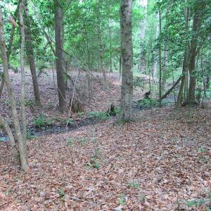 Photo #37 of SOLD property in Off Sunbeam Road, Franklin, VA 52.0 acres