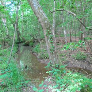 Photo #38 of SOLD property in Off Sunbeam Road, Franklin, VA 52.0 acres