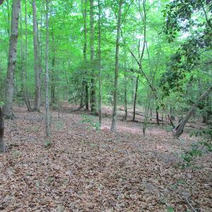 Photo #40 of SOLD property in Off Sunbeam Road, Franklin, VA 52.0 acres