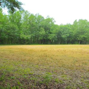 Photo #49 of SOLD property in Off Sunbeam Road, Franklin, VA 52.0 acres