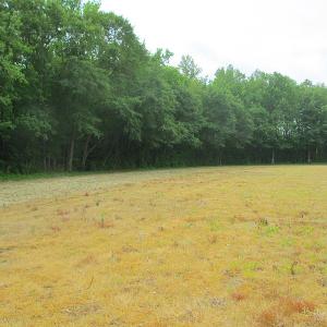 Photo #50 of SOLD property in Off Sunbeam Road, Franklin, VA 52.0 acres