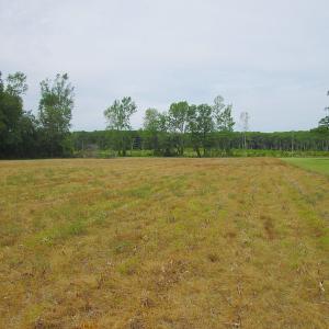 Photo #51 of SOLD property in Off Sunbeam Road, Franklin, VA 52.0 acres